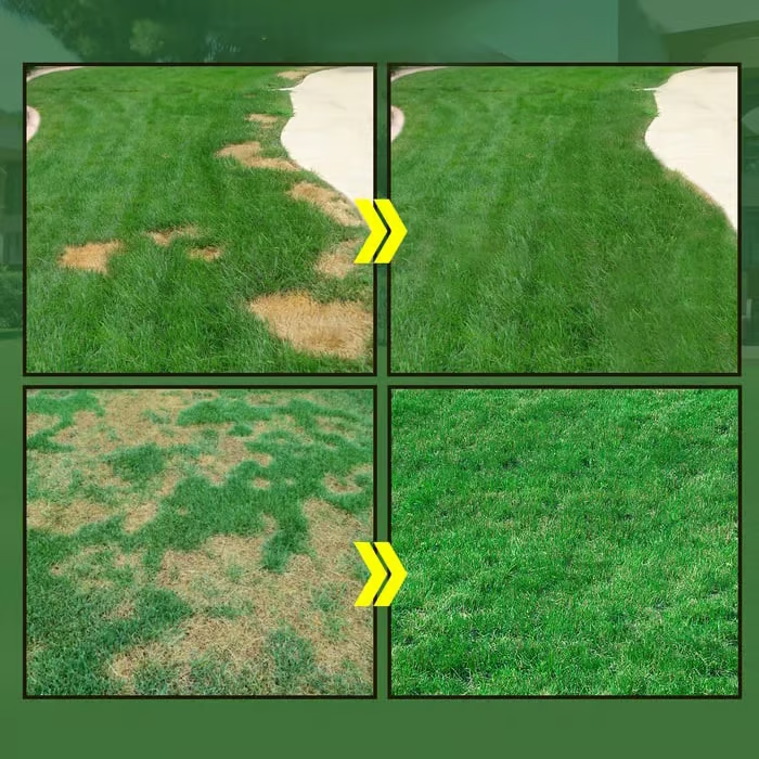 đ„Last Day 73% OFFđ±Hydro Seeding Lawn Solution